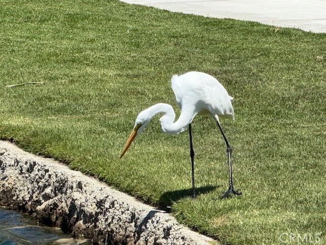 Detail Gallery Image 58 of 72 For 246 Sunstone Place, Rancho Mission Viejo,  CA 92694 - 1 Beds | 1/1 Baths