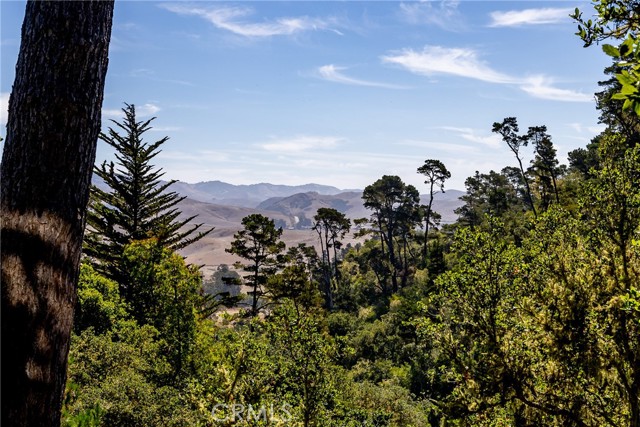 1420 Spencer Street, Cambria CA: https://media.crmls.org/medias/c6b534ea-8bb7-444f-937e-cedeb7e1abef.jpg