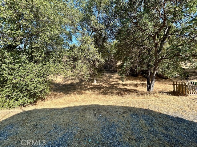 Detail Gallery Image 33 of 38 For 42445 Deep Forest Dr, Coarsegold,  CA 93614 - 3 Beds | 2 Baths