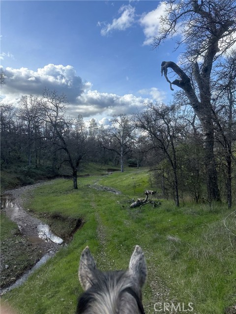 Detail Gallery Image 70 of 74 For 18020 Benson Rd, Cottonwood,  CA 96022 - 3 Beds | 3 Baths