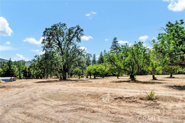 22550 Shady Grove Road, Middletown CA: https://media.crmls.org/medias/c6bb30b4-27e7-450b-9811-feca9d48705c.jpg