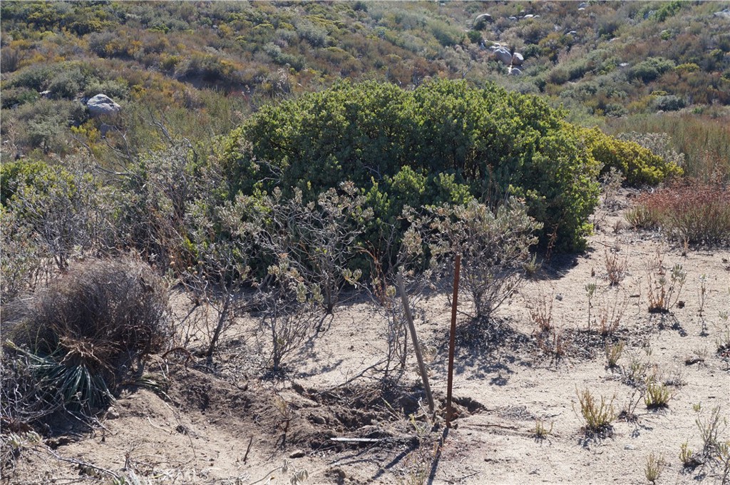 MLS #SB25011782 image #2