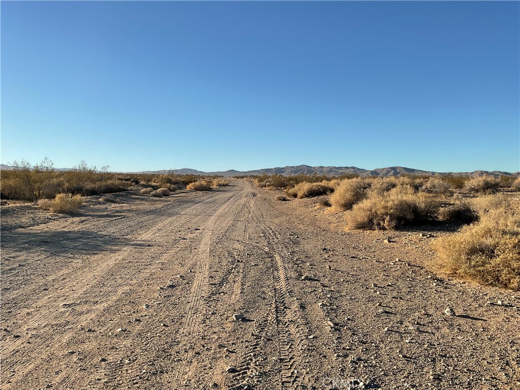 MLS #HD25250066 image #11