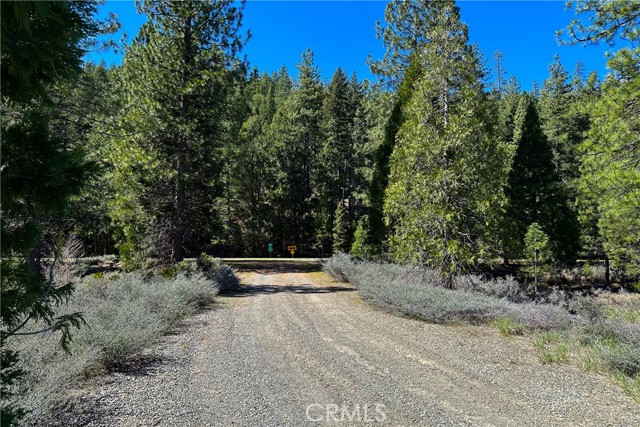 Detail Gallery Image 30 of 35 For 79402 State Highway 3, Trinity Center,  CA 96091 - – Beds | – Baths