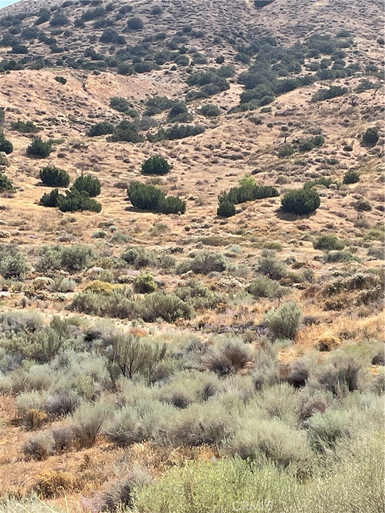 MLS #SR26174386 image #22