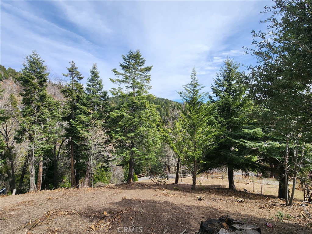 MLS #IG25045374 image #13