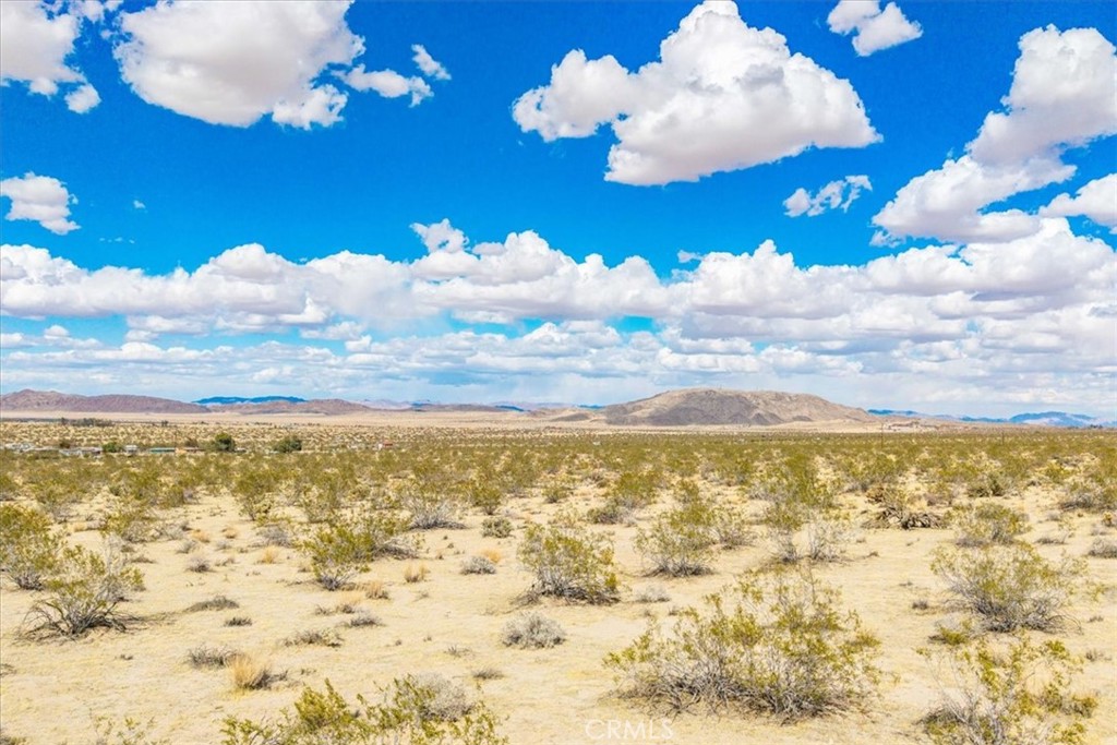 MLS #JT25078199 image #15