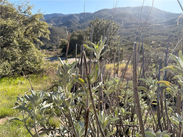 Detail Gallery Image 22 of 32 For 28013 San Felipe Rd, Warner Springs,  CA 92086 - – Beds | – Baths