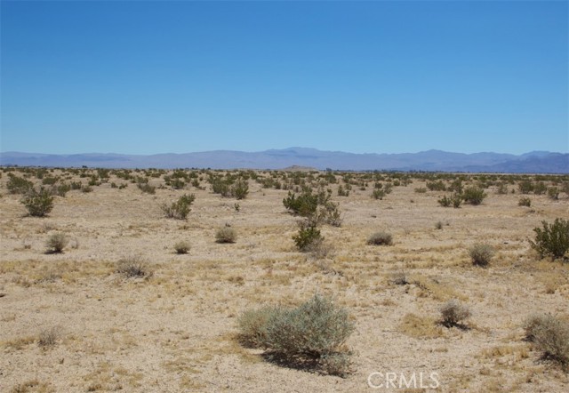 Front Image Thumbnail for CRPV25259796