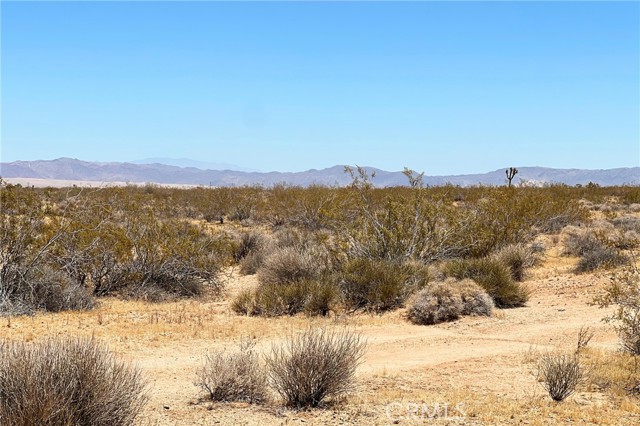 Detail Gallery Image 7 of 10 For 0 Willie Way, Joshua Tree,  CA 92252 - – Beds | – Baths