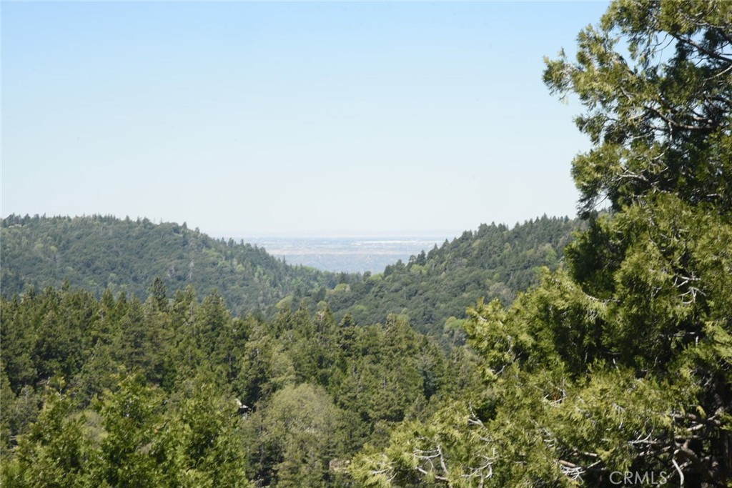 https://media.crmls.org/medias/c6e663a8-fd58-4a71-84a3-c2337fd404a2.jpg?preset=X-Large