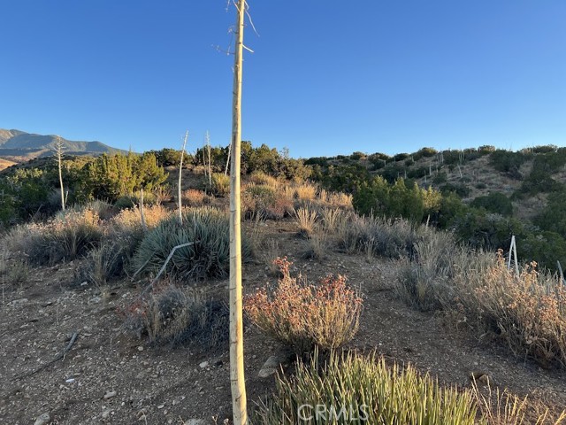 Detail Gallery Image 52 of 75 For 0 Vac/Vic Avenue Z/Vic 195 Ste, Llano,  CA 93544 - – Beds | – Baths