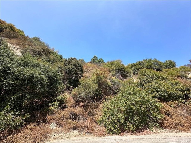 Detail Gallery Image 18 of 27 For 1525 Inverness Dr, Pasadena,  CA 91103 - – Beds | – Baths