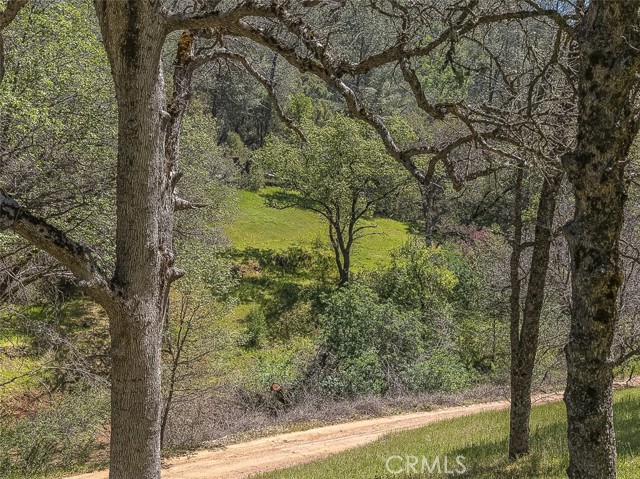 Detail Gallery Image 6 of 43 For 4743 Buffalo Gulch Rd, Midpines,  CA 95345 - – Beds | – Baths