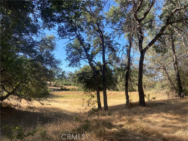 0 State Hwy 140, Mariposa CA: https://media.crmls.org/medias/c6f1c685-0a62-437d-8e52-eaa8752f5f1b.jpg