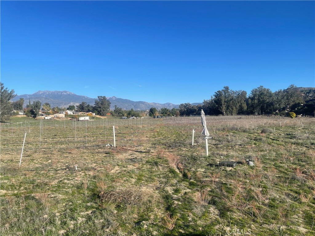 MLS #WS25276306 image #8