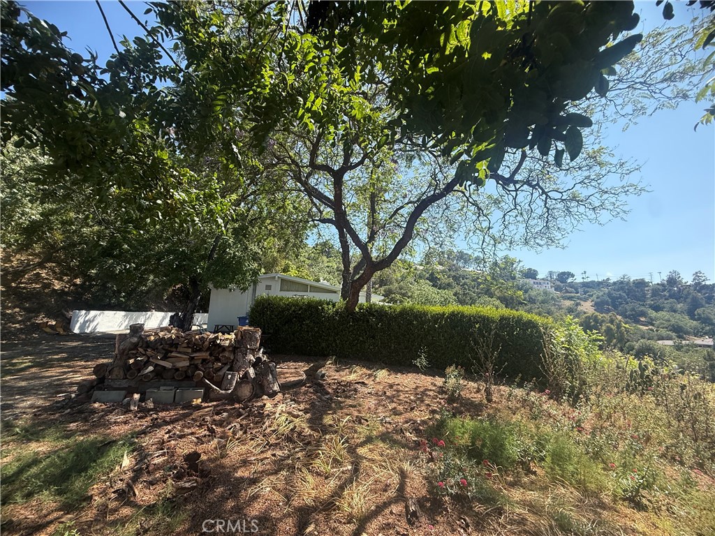 MLS #SR26134771 image #6