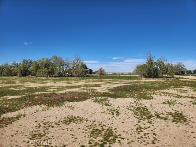 Detail Gallery Image 1 of 20 For 0 Yucca Rd, Newberry Springs,  CA 92365 - – Beds | – Baths