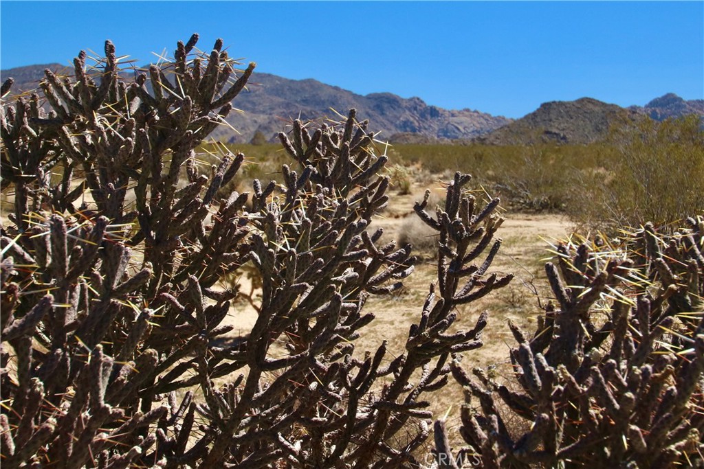 MLS #JT21090590 image #14