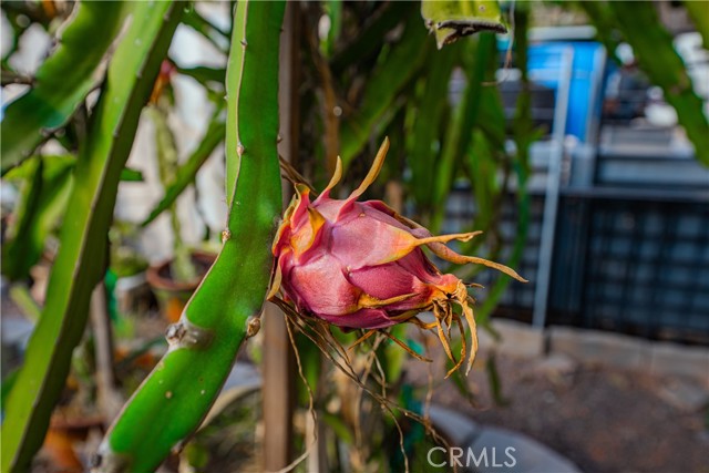 Detail Gallery Image 66 of 74 For 6580 Lake, Riverside,  CA 92503 - 3 Beds | 2 Baths