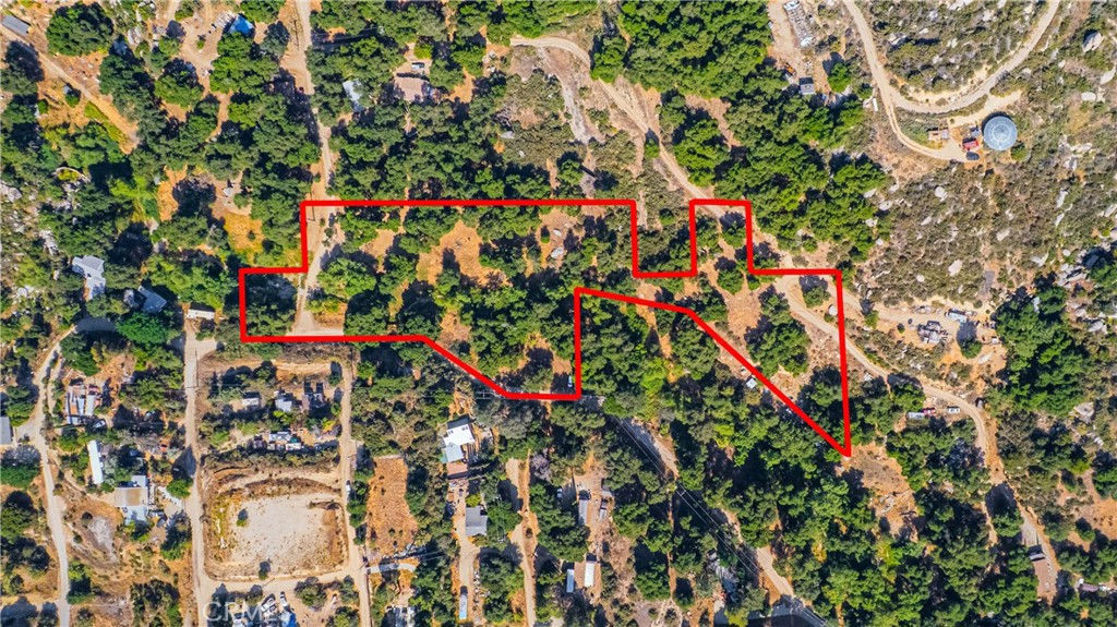 MLS #SW25133370 image #6