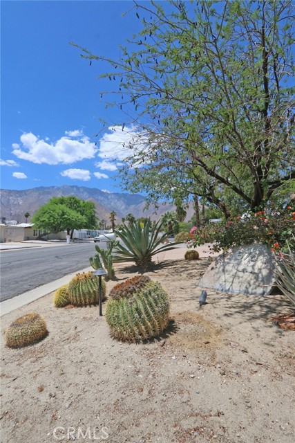 Detail Gallery Image 8 of 47 For 576 E Desert Holly Cir, Palm Springs,  CA 92262 - 3 Beds | 2 Baths