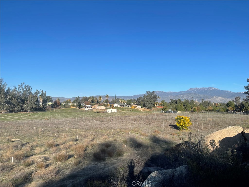 MLS #WS25276306 image #38