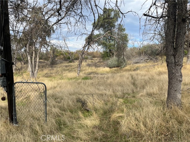 Detail Gallery Image 41 of 69 For 4934 Guadalupe Fire, Catheys Valley,  CA 95306 - – Beds | – Baths