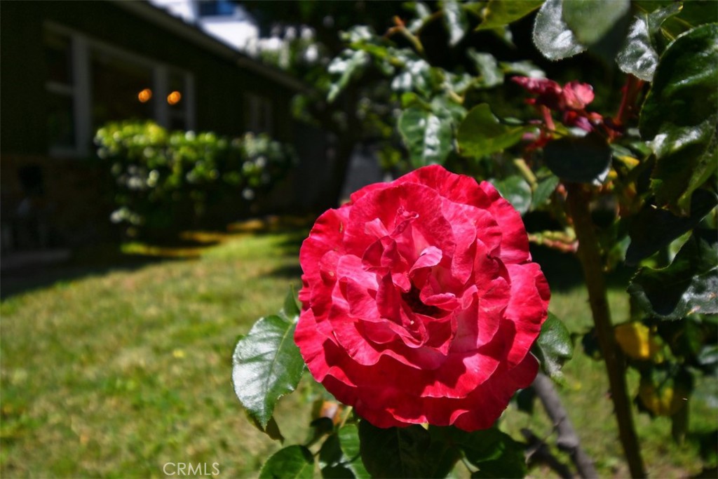 https://media.crmls.org/medias/c718ab09-2f53-4203-828e-50b017ff2657.jpg?preset=X-Large