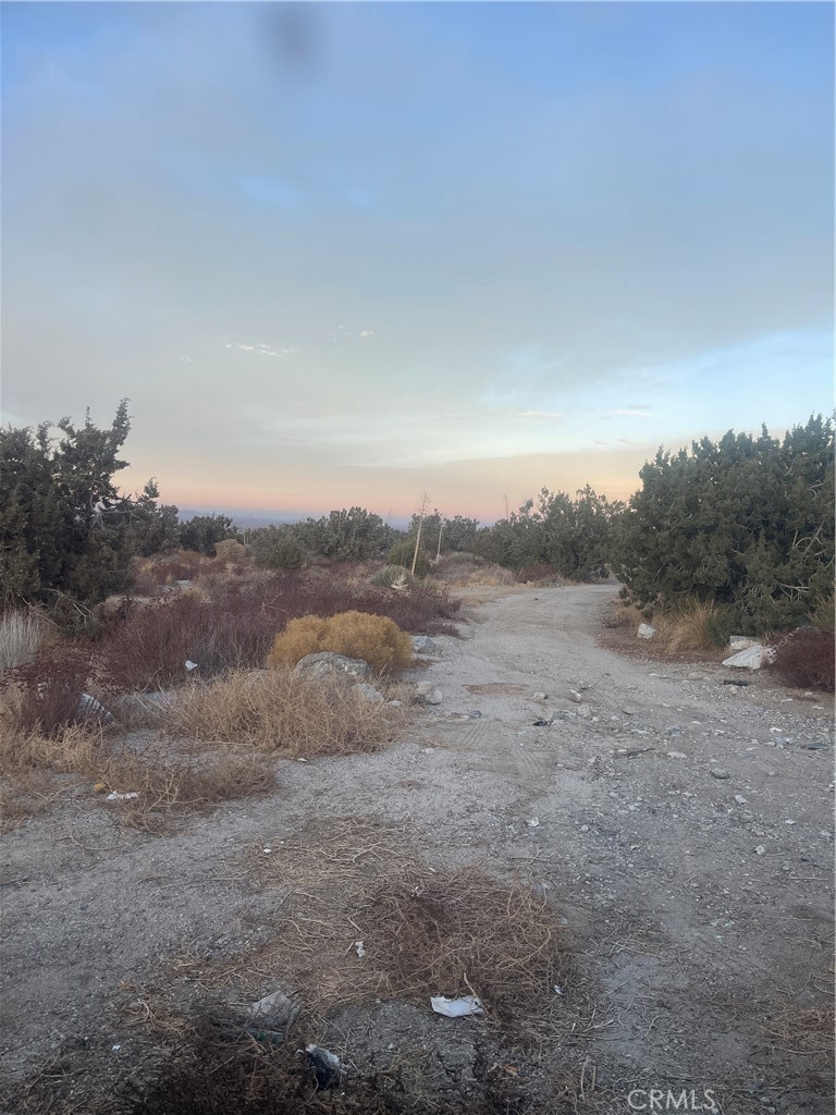 MLS #PW25003493 image #23