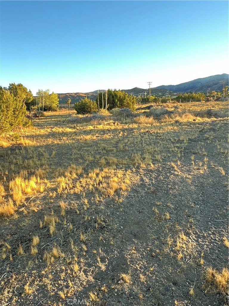 MLS #IV24232960 image #2