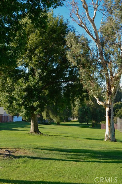 10060 Hillsborough Lane, Riverside CA: https://media.crmls.org/medias/c72ea65b-462b-4271-a4b0-c2dcc71a262f.jpg