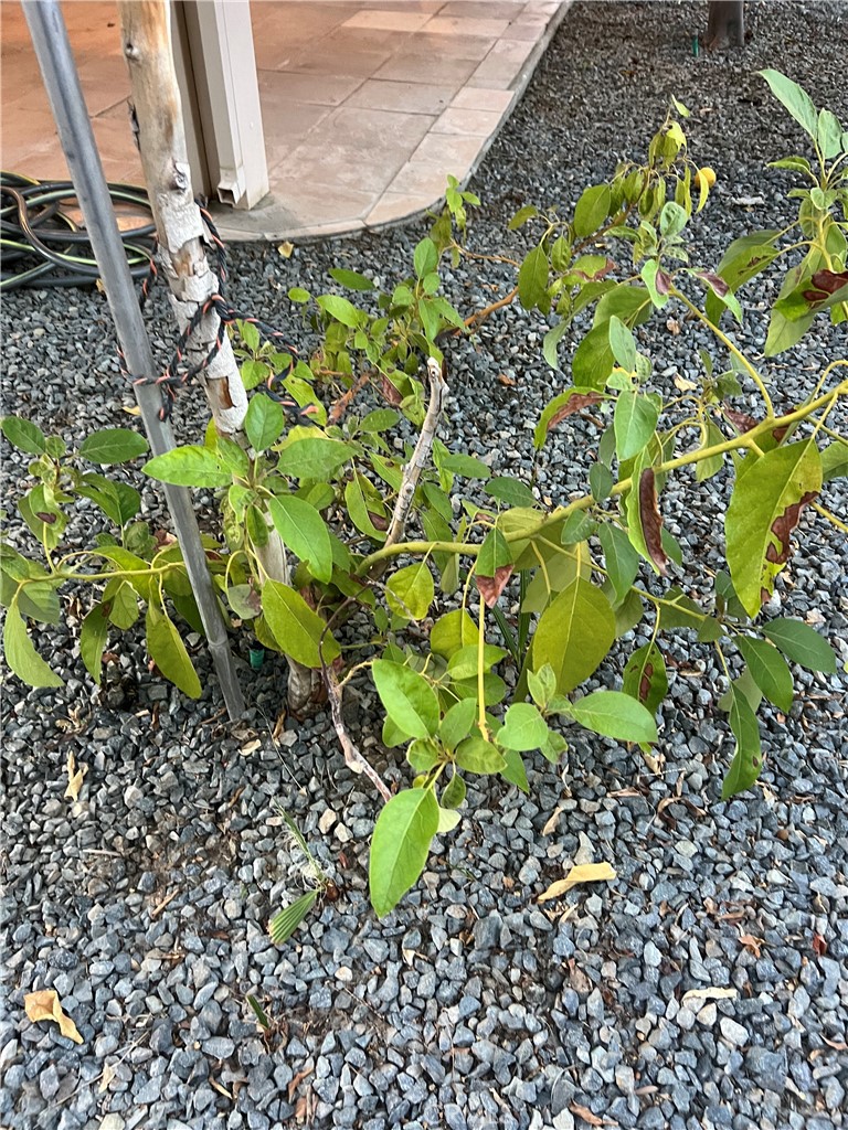 MLS #SB25246329 image #34