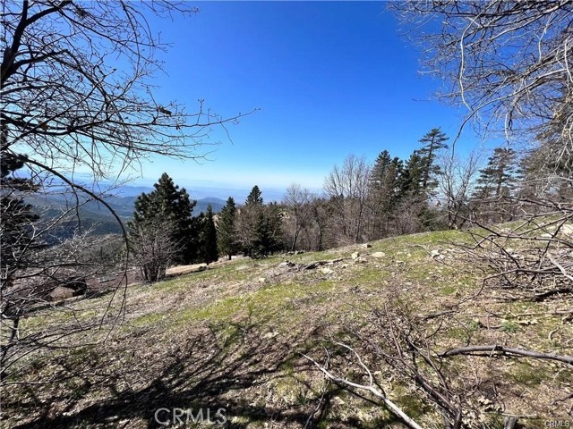 41 Fredalba Road, Running Springs CA: https://media.crmls.org/medias/c73bb991-ce3e-4482-9372-3459d5525c33.jpg