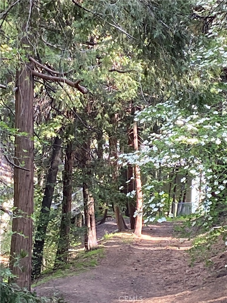 https://media.crmls.org/medias/c73cf06a-256e-4d55-8fa2-4223be253b66.jpg?preset=X-Large