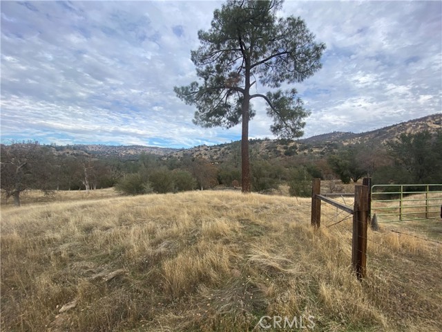 Detail Gallery Image 10 of 14 For 33930 Rivercrest Rd, Coarsegold,  CA 93614 - – Beds | – Baths
