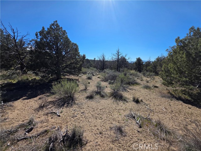 Detail Gallery Image 4 of 14 For 38 Blk 8 Lot 38 Karina Dr, Montague,  CA 96064 - – Beds | – Baths