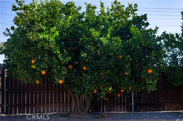 Detail Gallery Image 24 of 32 For 424 Tierra Baja Way, Hemet,  CA 92545 - 2 Beds | 1 Baths