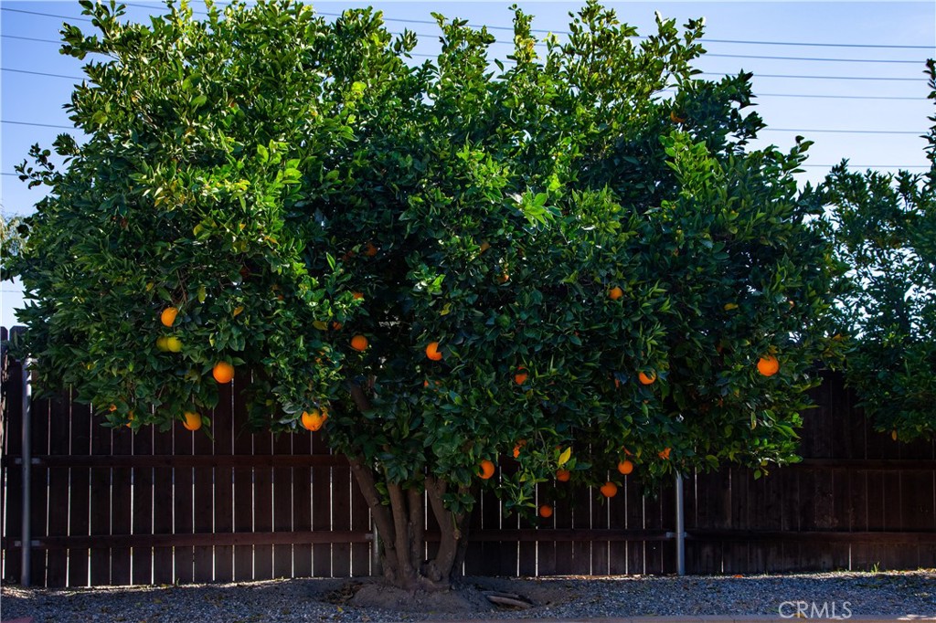 MLS #SW25277614 image #23