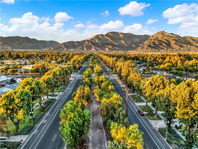 Detail Gallery Image 3 of 38 For 1346 N Euclid Ave, Upland,  CA 91786 - – Beds | – Baths