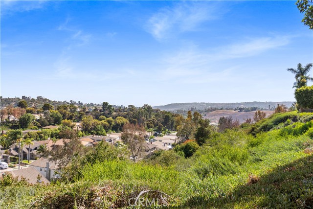 24572 Via Del Oro, Laguna Niguel CA: https://media.crmls.org/medias/c74d3b84-1ee1-4d92-8349-db0df1e2e463.jpg
