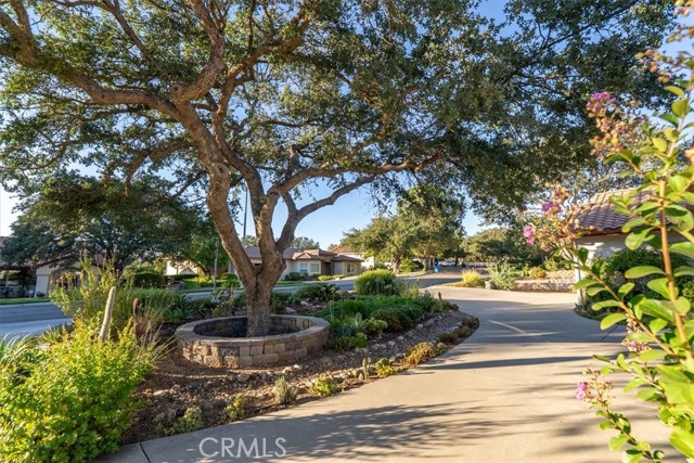 Detail Gallery Image 9 of 46 For 518 Grand Canyon Dr, Paso Robles,  CA 93446 - 3 Beds | 2/1 Baths