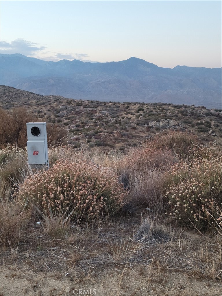 MLS #IV25196430 image #9