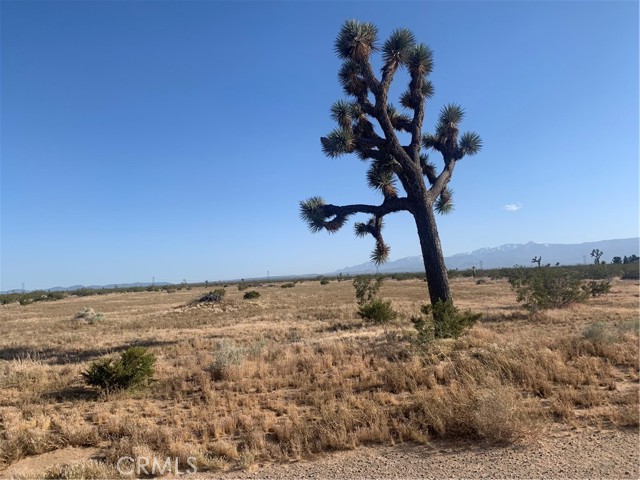 Detail Gallery Image 18 of 23 For 0 Poppy Rd, Adelanto,  CA 92301 - – Beds | – Baths