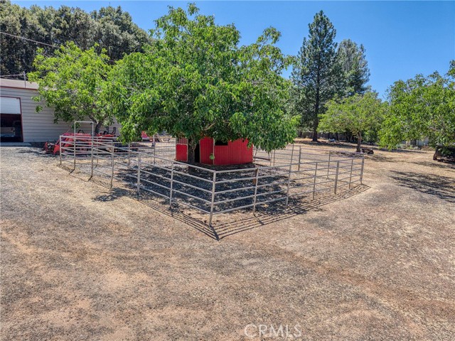 Detail Gallery Image 61 of 74 For 8700 Red Hills Rd, Kelseyville,  CA 95451 - 5 Beds | 3 Baths