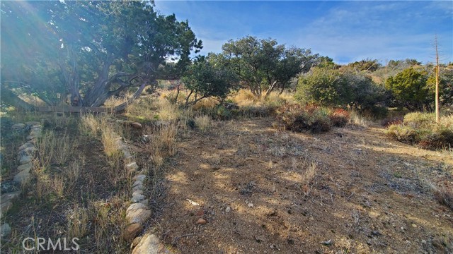 MLS #SR25242278 image #35