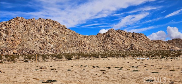 Detail Gallery Image 1 of 1 For 800 Rabbit Springs Rd. (Near), Lucerne Valley,  CA 92356 - – Beds | – Baths