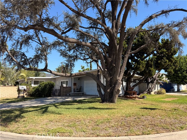 837 W Hollyvale