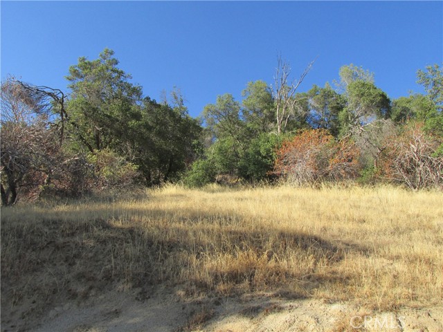 2 Old Oaks Court, North Fork, California 93643, ,Land,For Sale,2 Old Oaks Court,CRFR23180860