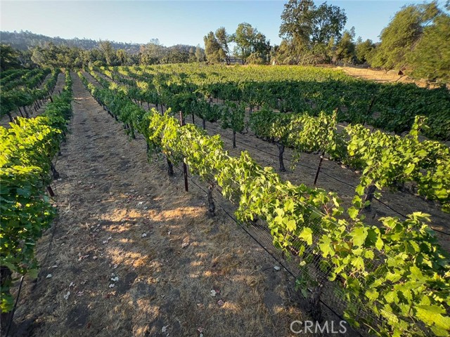 Front Image Thumbnail for CRMP26171169